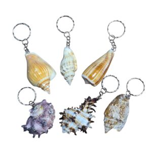 Llaveros Caracol  -Cod. 504-